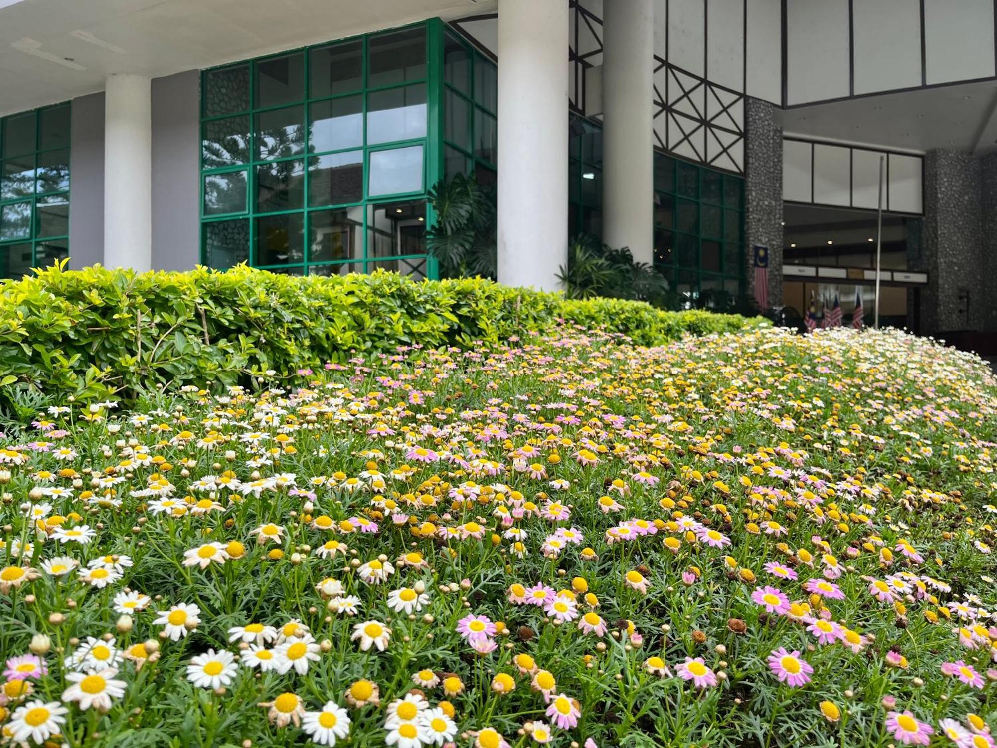 Copthorne Cameron Highlands Hotel Exterior foto